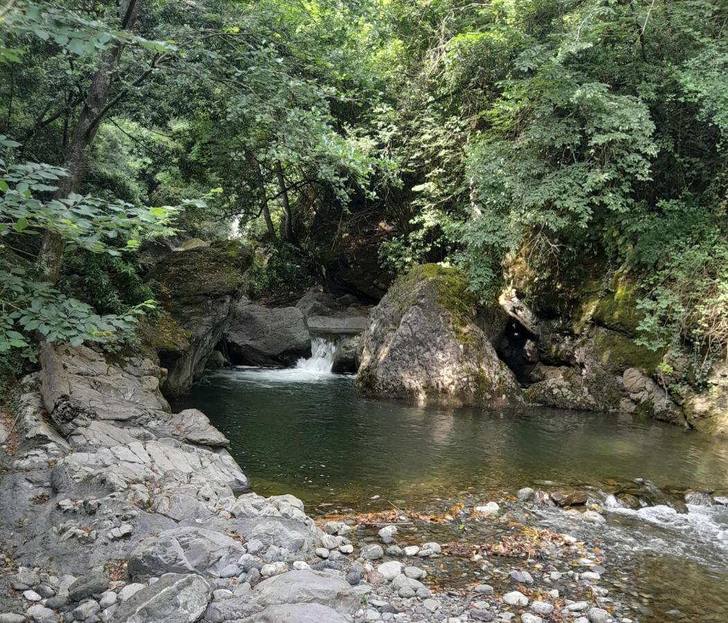 Casa Ylenia Villa Borzonasca Luaran gambar